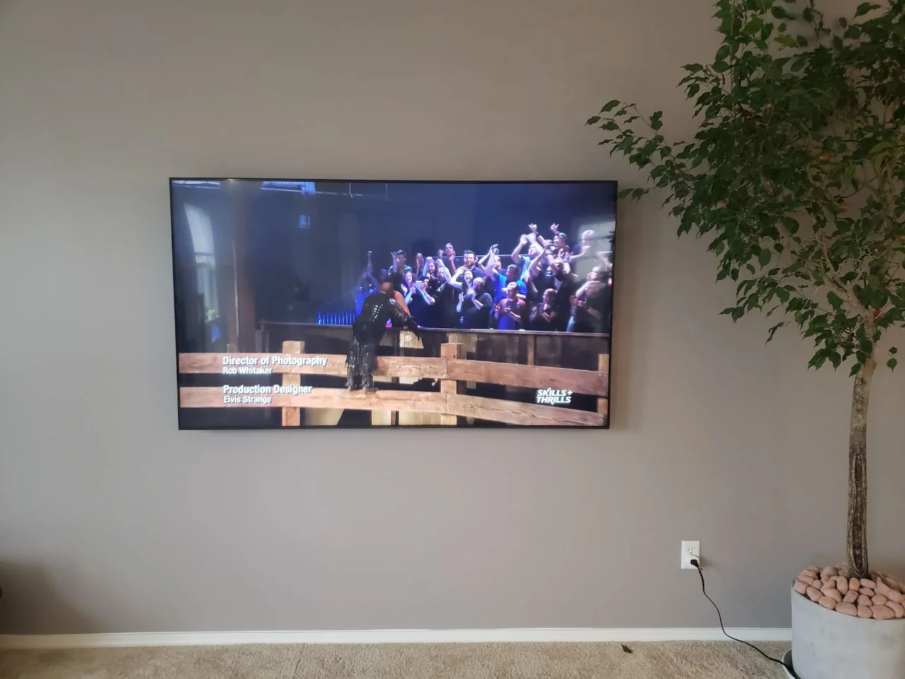 Television mounted on a gray wall beside an indoor tree, displaying a video scene.