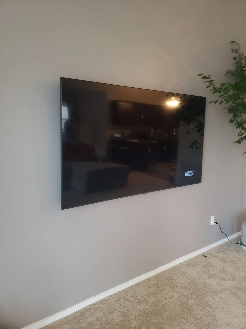 Wall-mounted television with its screen off, viewed from the side beside an indoor tree.